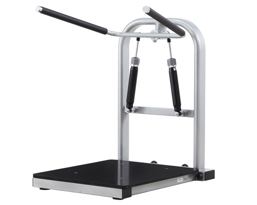 CEO200�͉�ʽ�ȏ�Ӗ���C