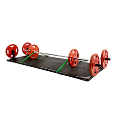 NPF1  ���I�e��Ӗ���|